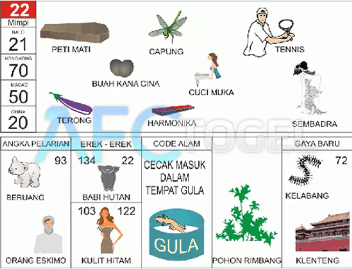 buku mimpi erek erek togel 22