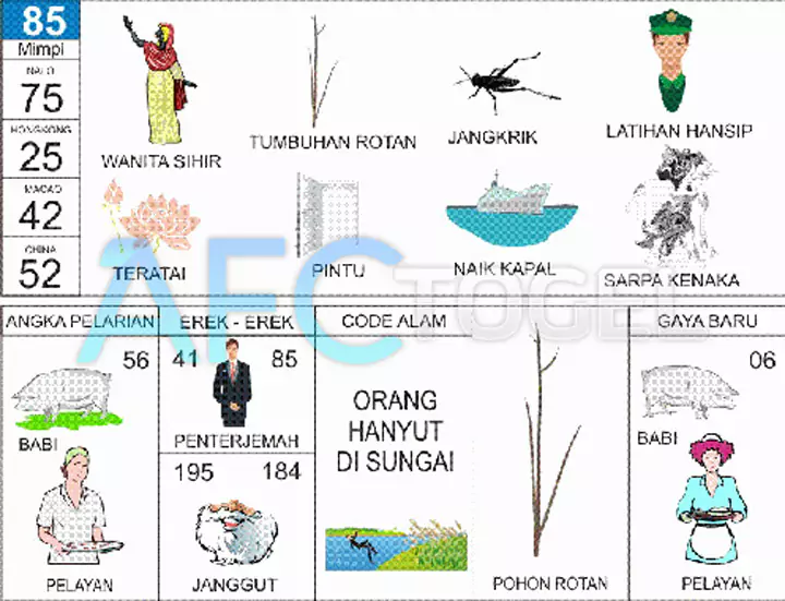 buku mimpi erek erek togel 85
